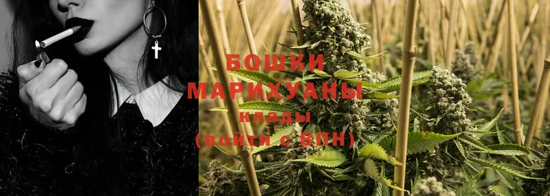 Шишки марихуана OG Kush  кракен маркетплейс  Будённовск  магазин продажи  